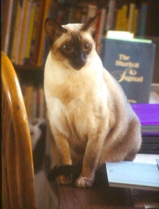 ECKANKAR, Reincarnation, Soul, Animals, Death