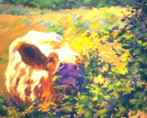 ECKANKAR, Animals, Love, Protection, God