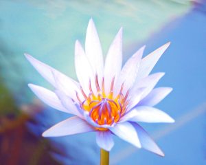 ECKANKAR, Goals, Positive Imagination