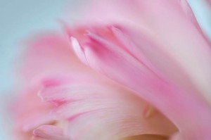 ECKANKAR, Relationships, Youth, Spiritual Love