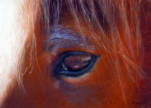 ECKANKAR, Animals, Love, Divine Spirit