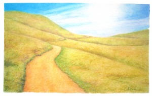 Wonder of Wandering