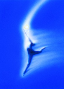 inner_worlds_27_color_HI