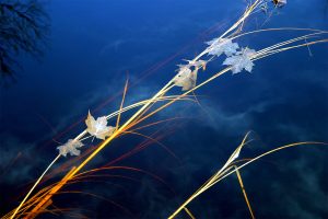 John V Autumn_7