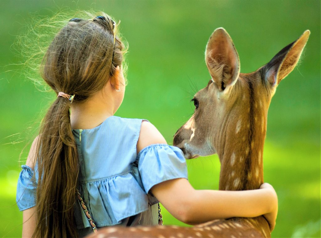 To Love All Life